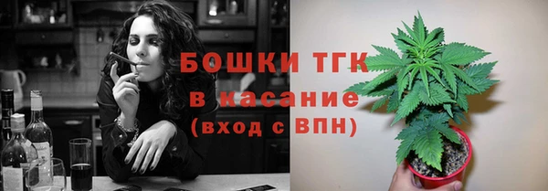 эйфоретик Вяземский
