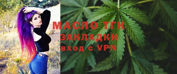эйфоретик Вяземский