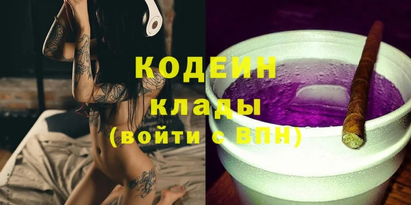 эйфоретик Вяземский