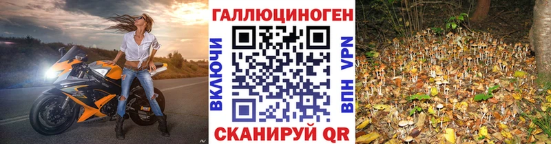 продажа наркотиков Зверево Псилоцибиновые грибы MAGIC MUSHROOMS